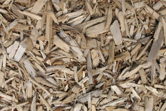 biomass boilers Cleadon